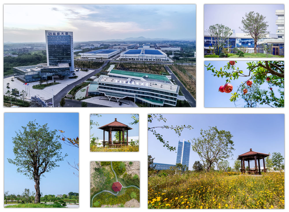 �۷���ʹ���-��Ӫ��ȫ,����һ·�ɳ�