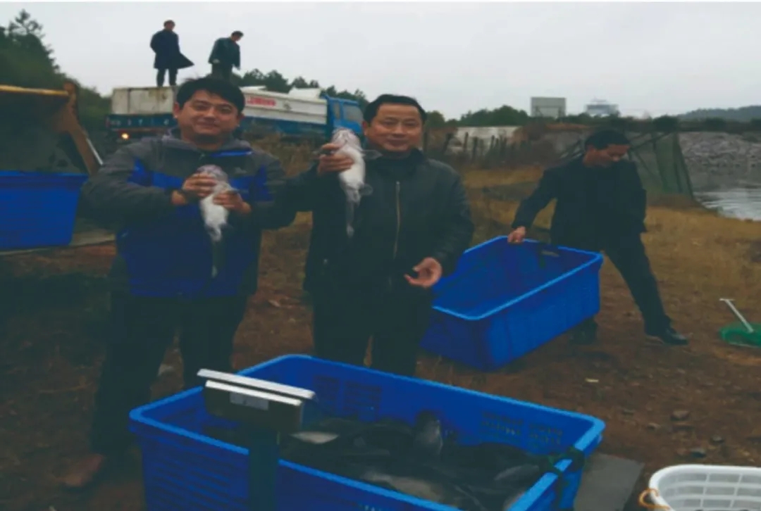 �۷���ʹ���-��Ӫ��ȫ,����һ·�ɳ�