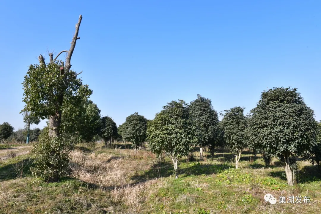 �۷���ʹ���-��Ӫ��ȫ,����һ·�ɳ�