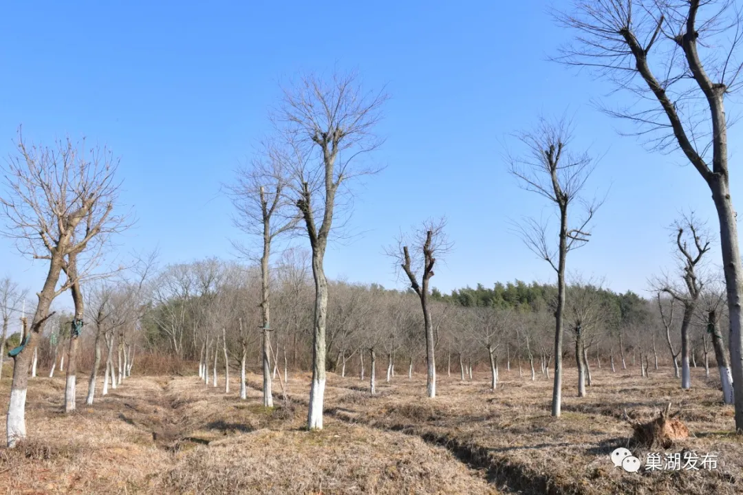 �۷���ʹ���-��Ӫ��ȫ,����һ·�ɳ�