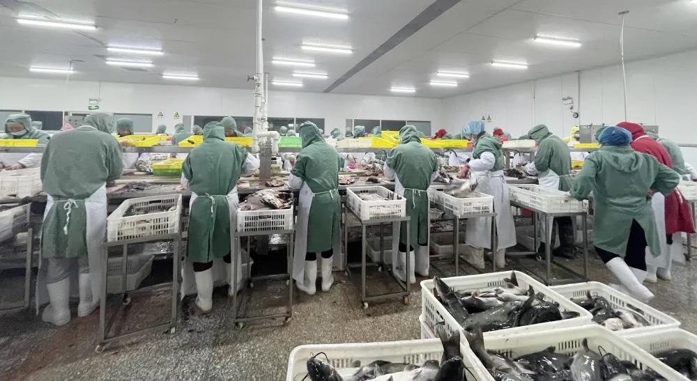 �۷���ʹ���-��Ӫ��ȫ,����һ·�ɳ�