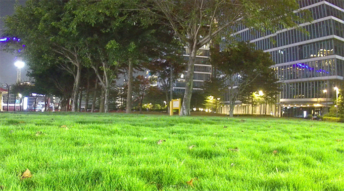 �۷���ʹ���-��Ӫ��ȫ,����һ·�ɳ�