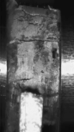 �۷���ʹ���-��Ӫ��ȫ,����һ·�ɳ�