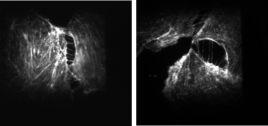 巅峰国际官网-钻营健全,你我一路成长