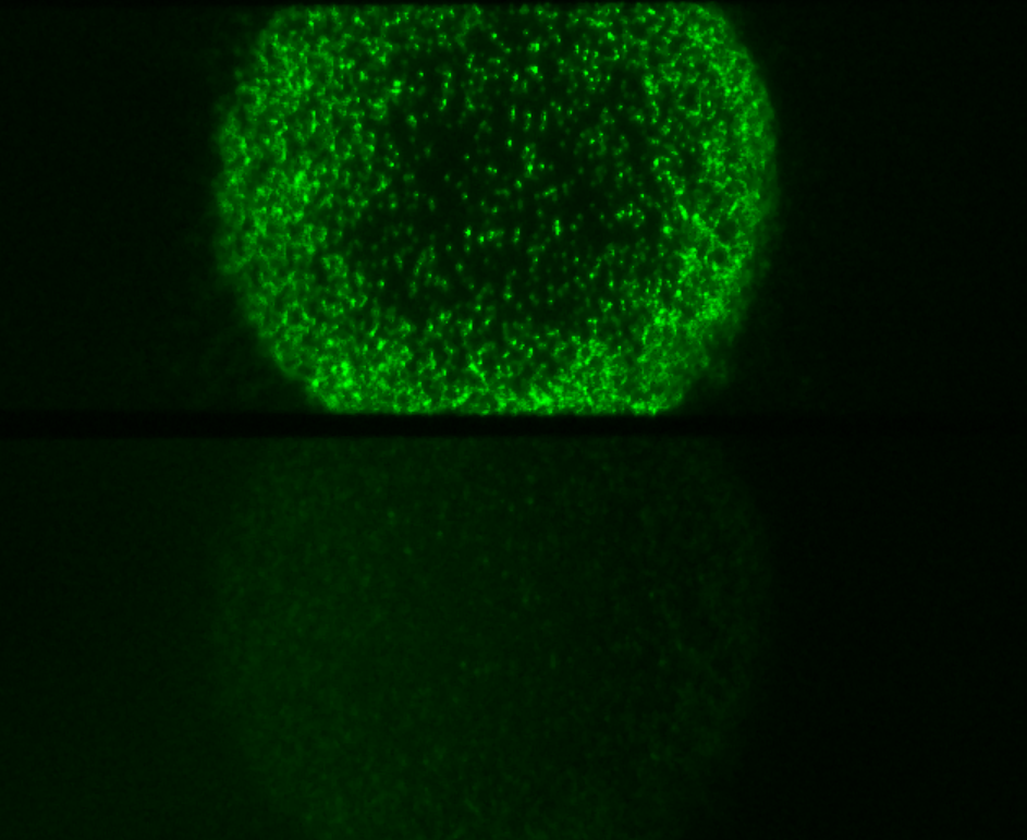 巅峰国际官网-钻营健全,你我一路成长