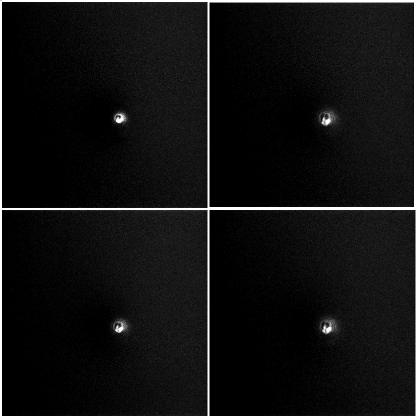 巅峰国际官网-钻营健全,你我一路成长